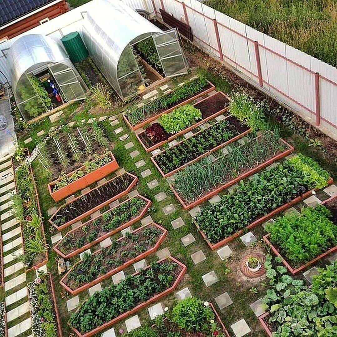 Permaculture Garden Greenmylife