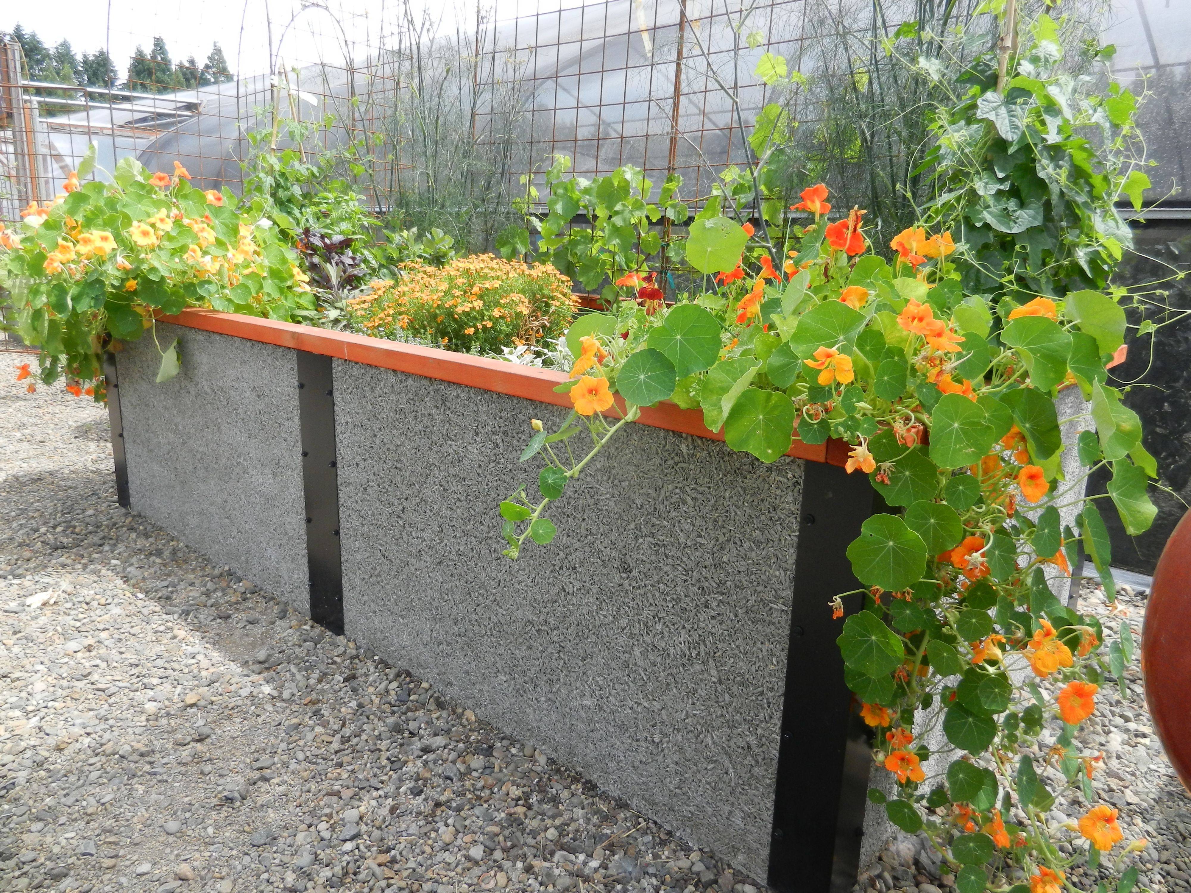 Temperate Climate Permaculture