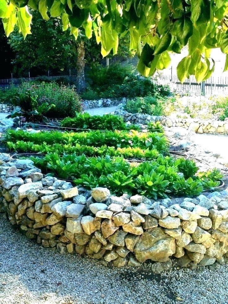 Creative Diy Garden Wall Projects