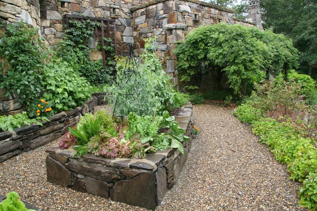 Our Backyard Raised Vegetable Garden