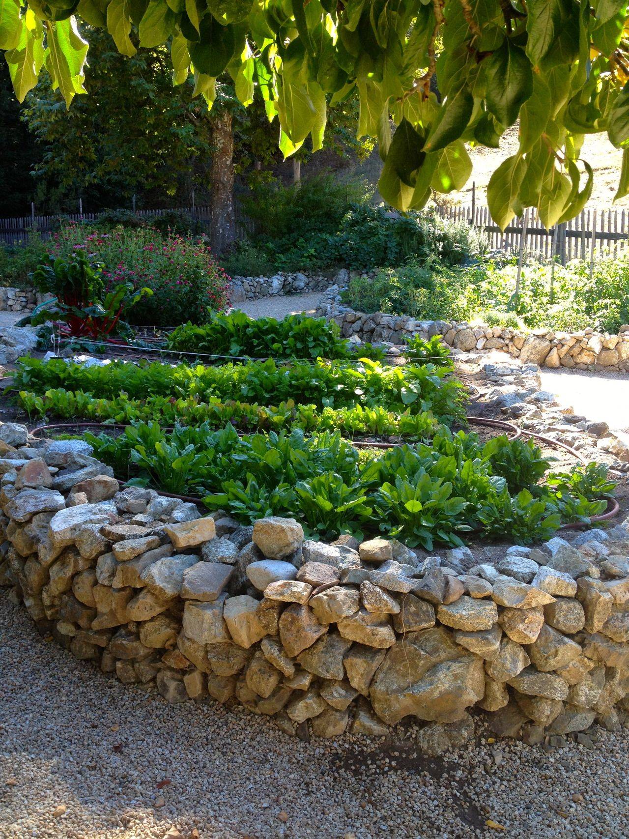 Amazing Diy Raised Bed Gardens Page