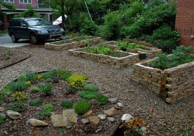 Easy Lowmaintenance Backyard Gardens