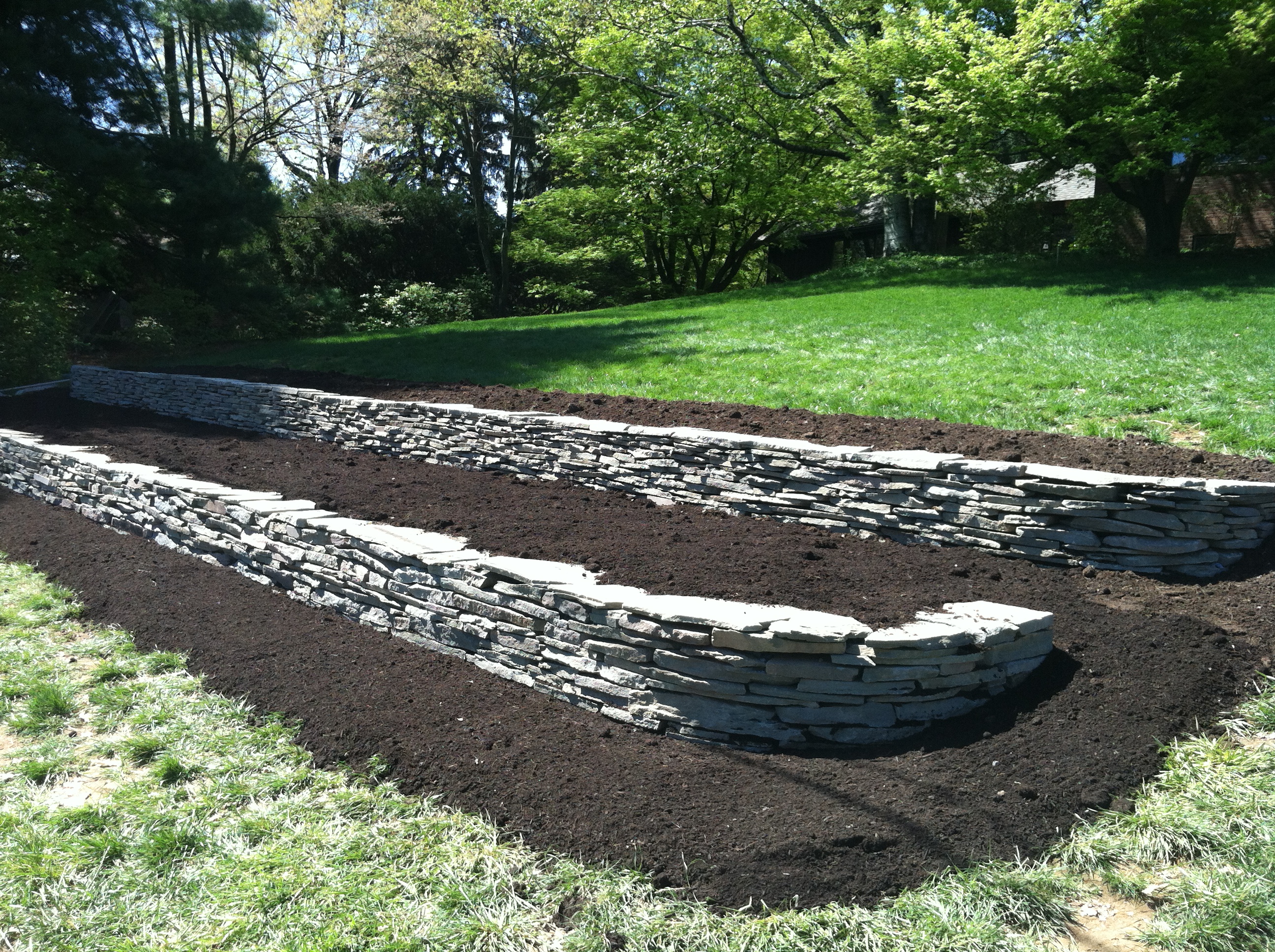 Bed Garden Kit Amazon