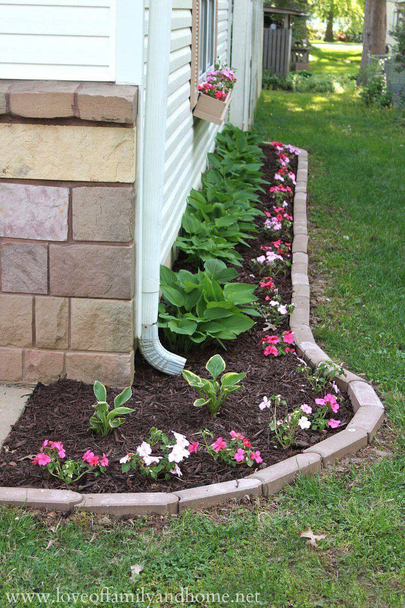 Flower Border Ideas