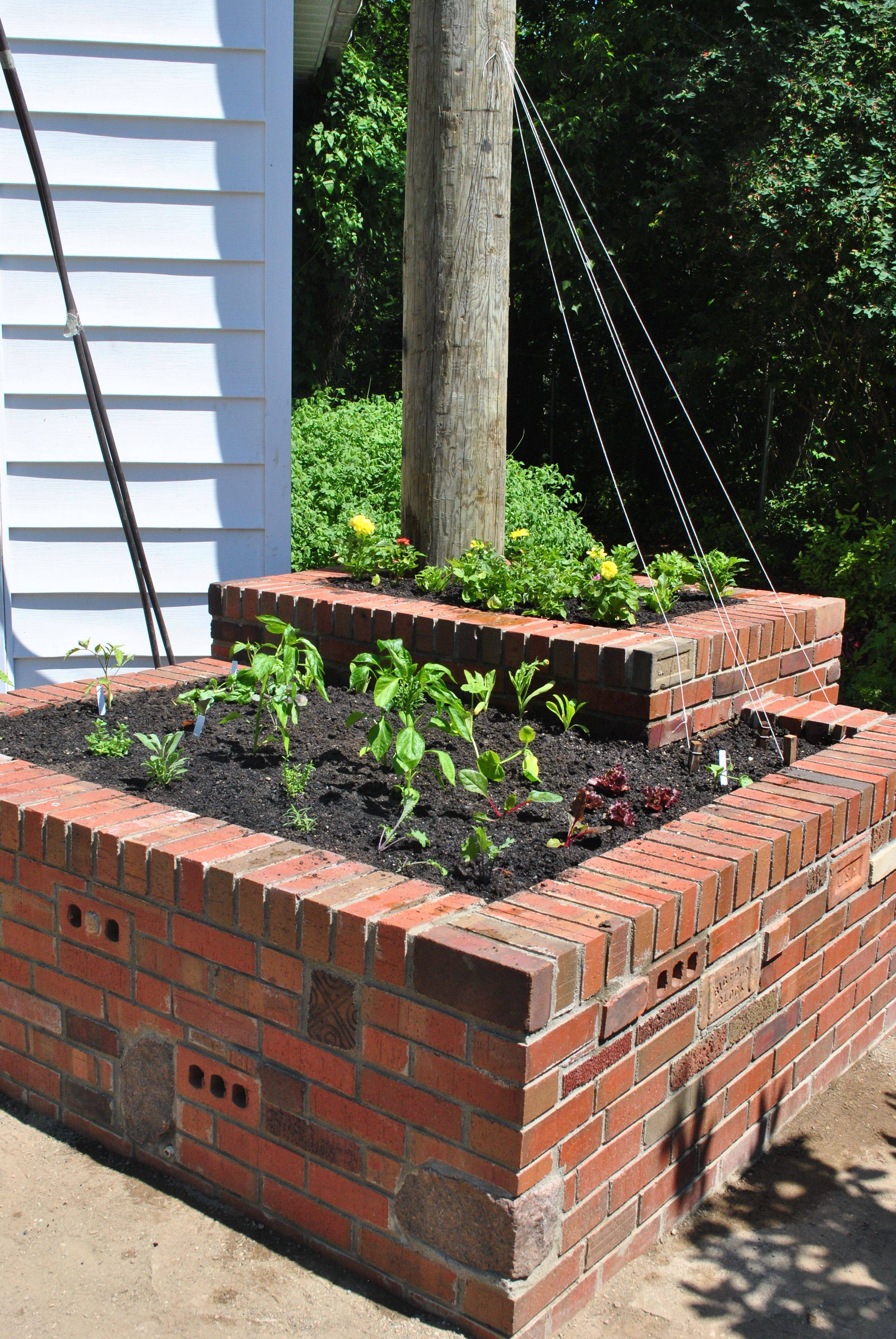 Cinder Block Garden