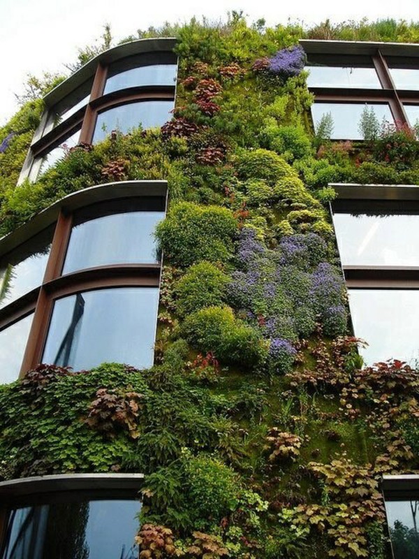 Living Wall Vertical Garden Benefits Quiet Corner