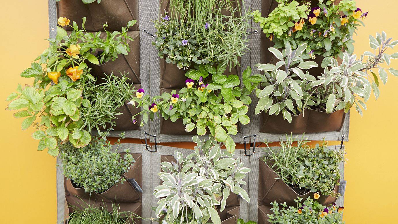 Awesome Diy Vertical Garden Ideas