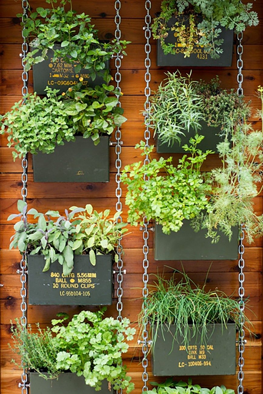 Diy Living Walls Kits