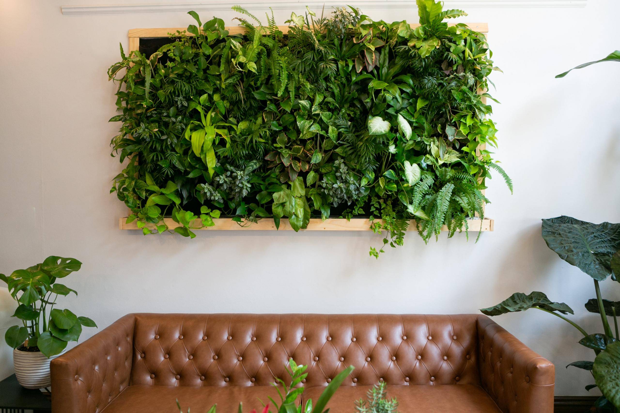 Astonishing Indoor Wall Garden Ideas