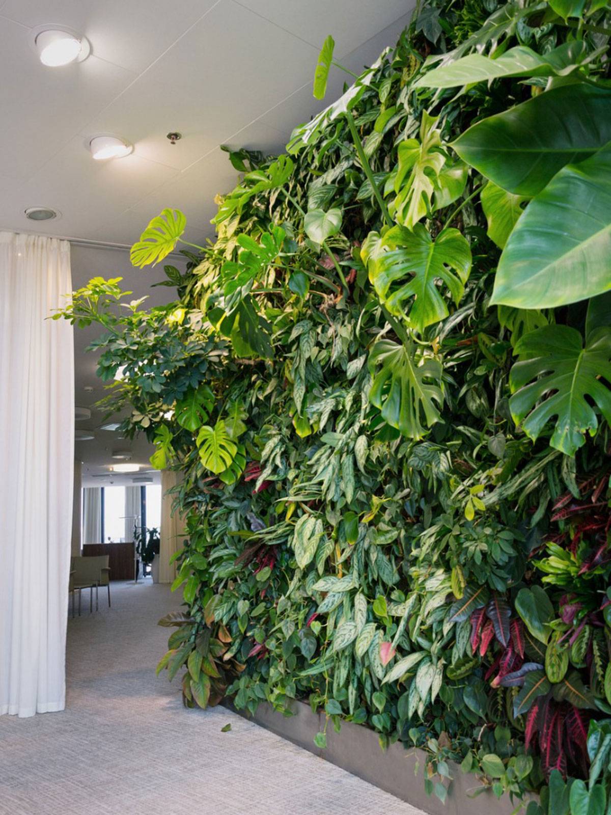 Best Indoor Vertical Garden Design Ideas You Must Have Freshouzcom