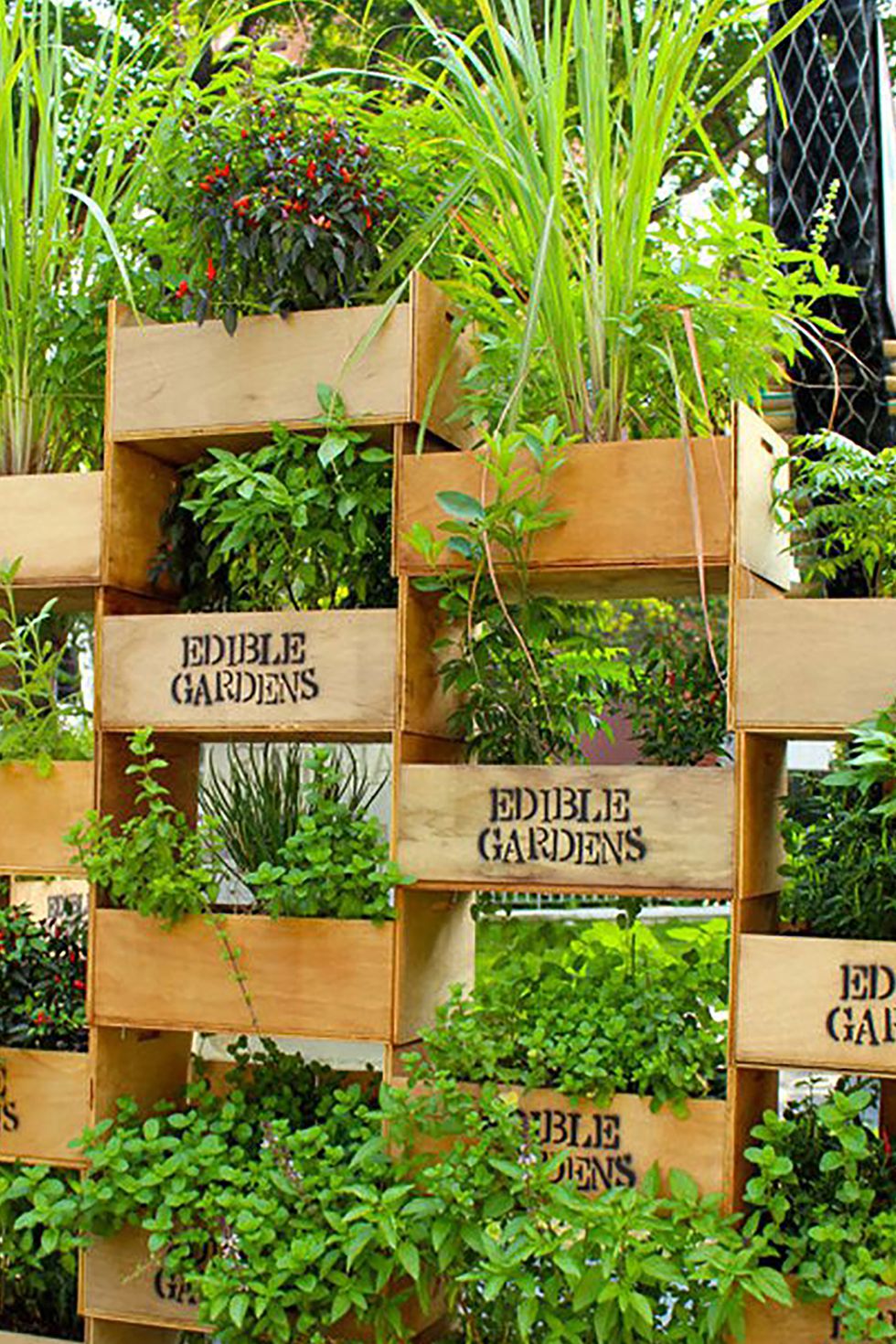 Vertical Herb Garden Vertical Herb Garden