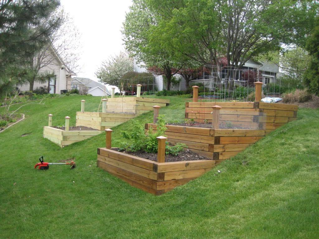 Raised Bed Garden Design Ideas