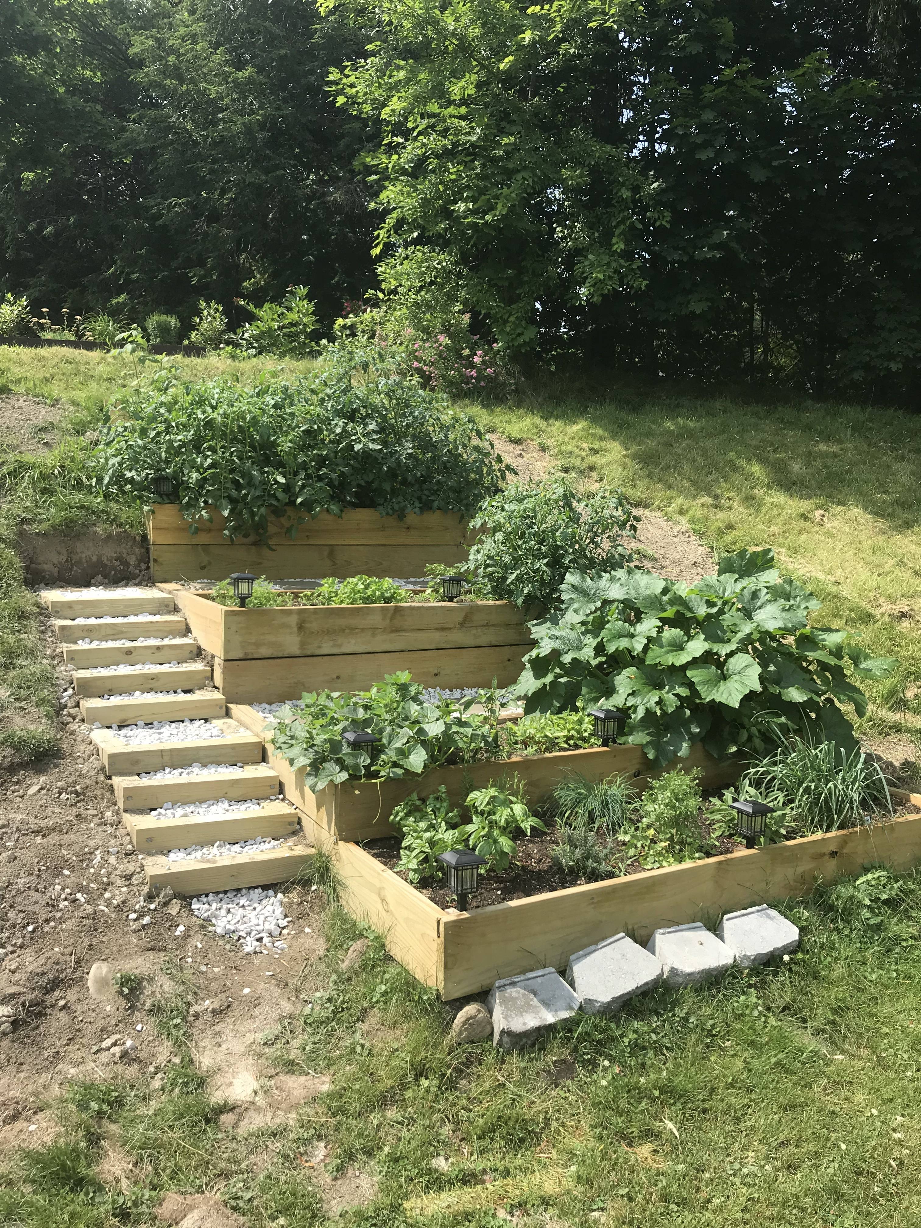 Both Beginning And Experienced Gardeners Raised Garden Beds