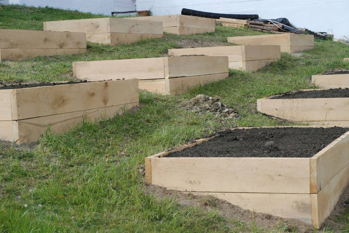 Our New Raised Beds