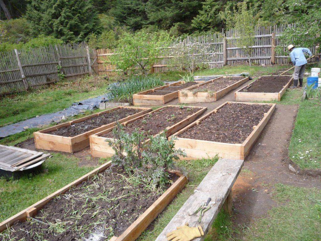 A Slope Vegetable Garden