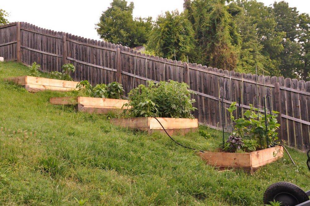 Terraced Garden Beds