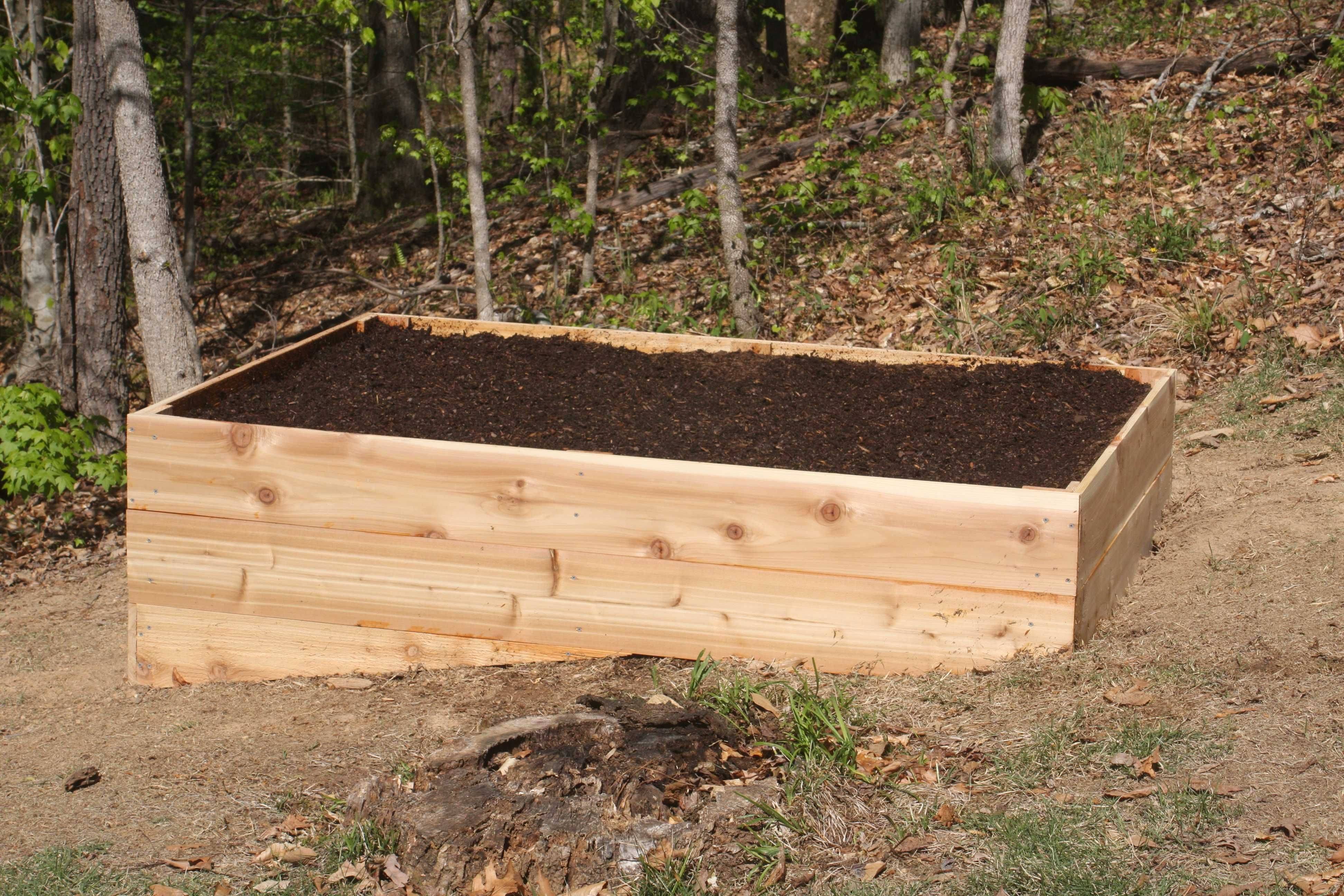 A Raised Garden Bed