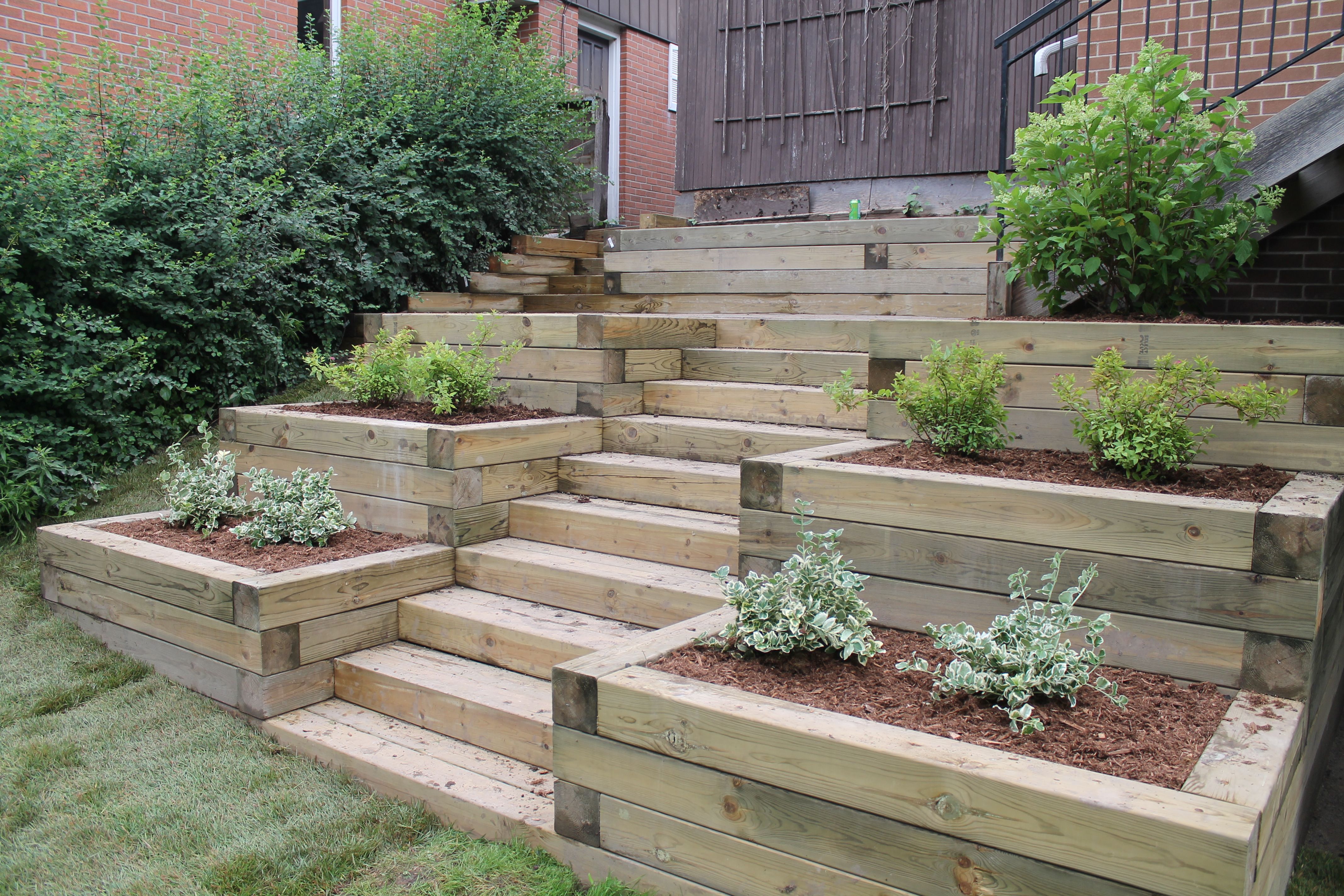 A Slope Vegetable Garden