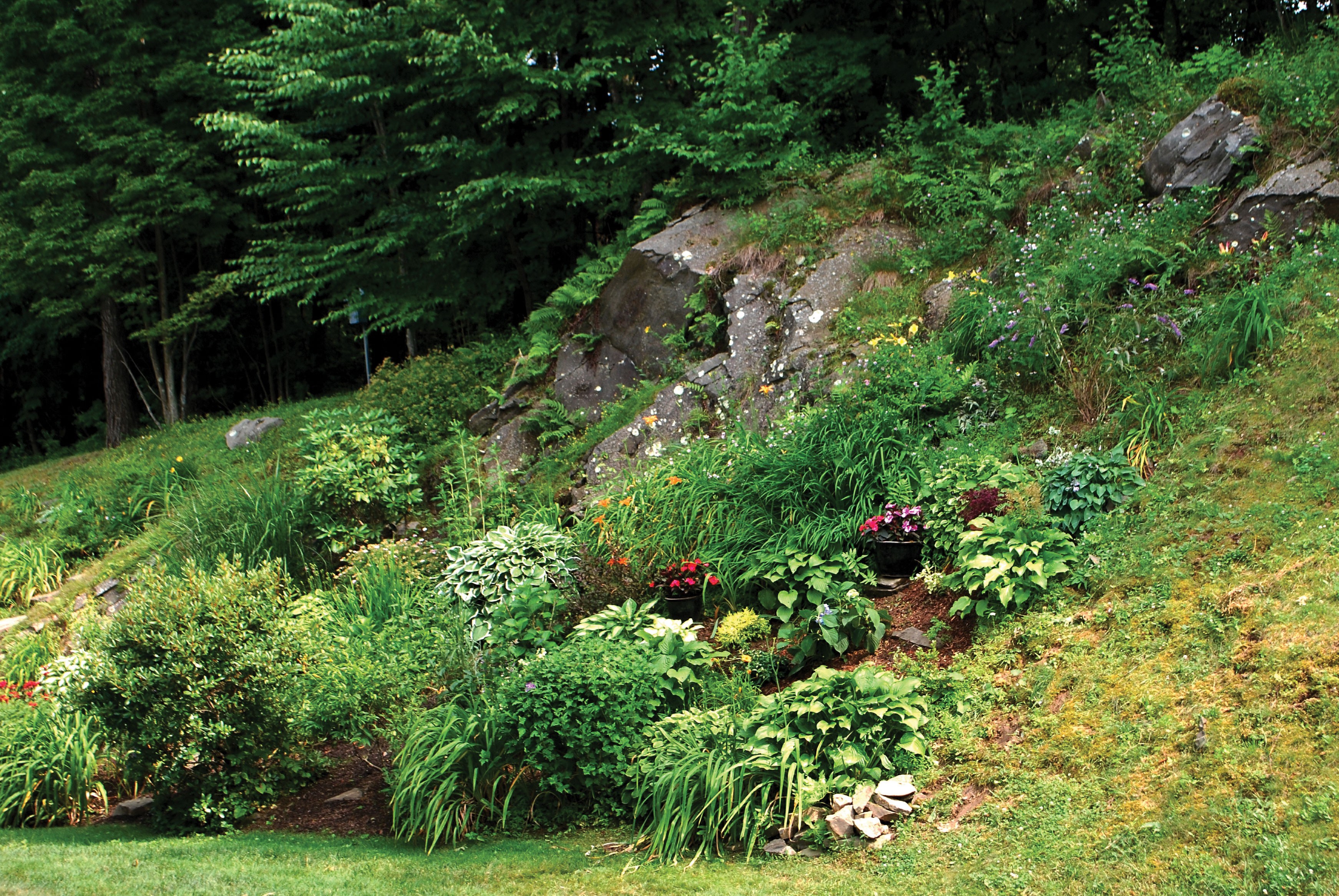 Steep Slope Landscaping