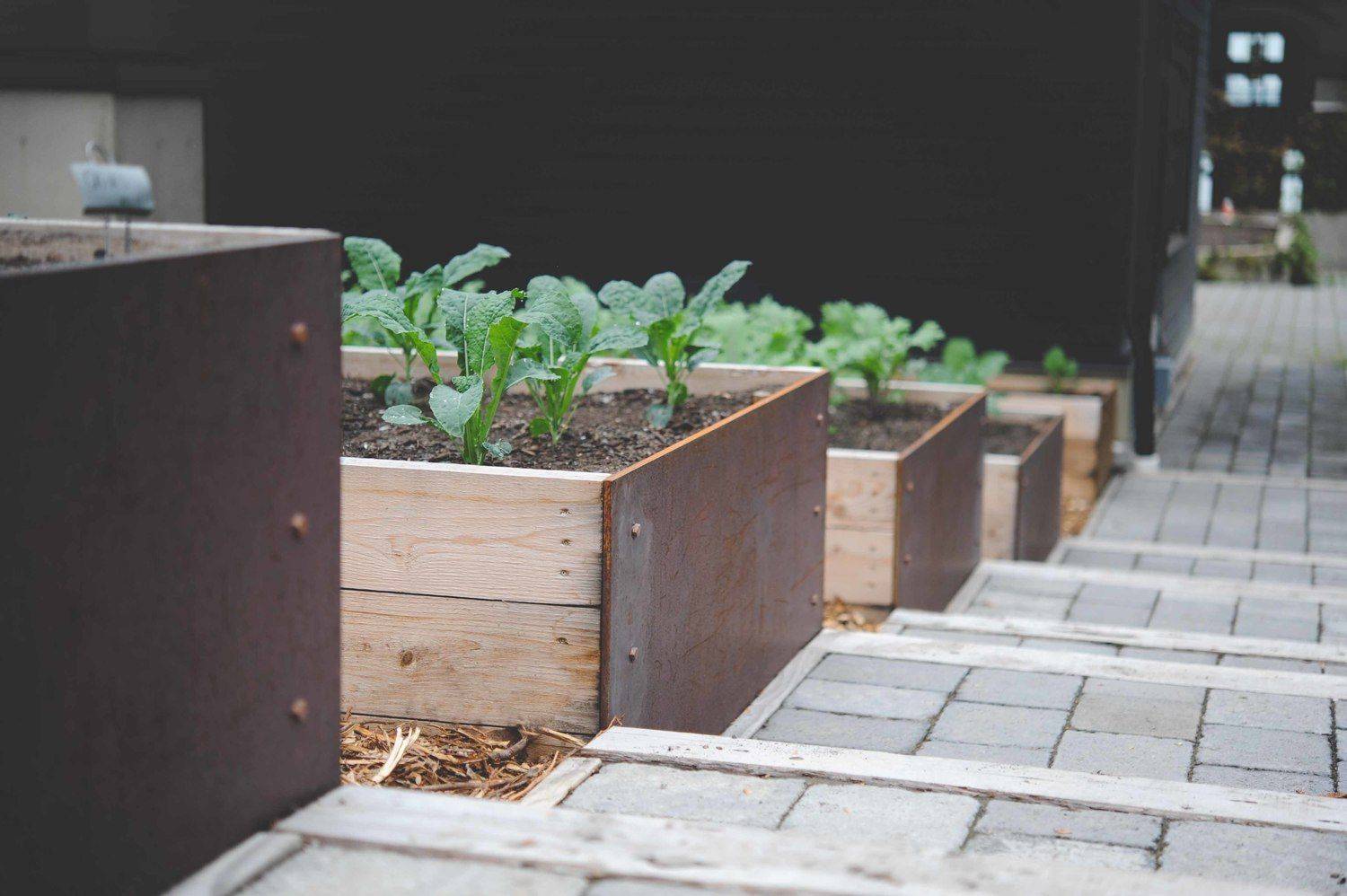 A Raised Garden Bed