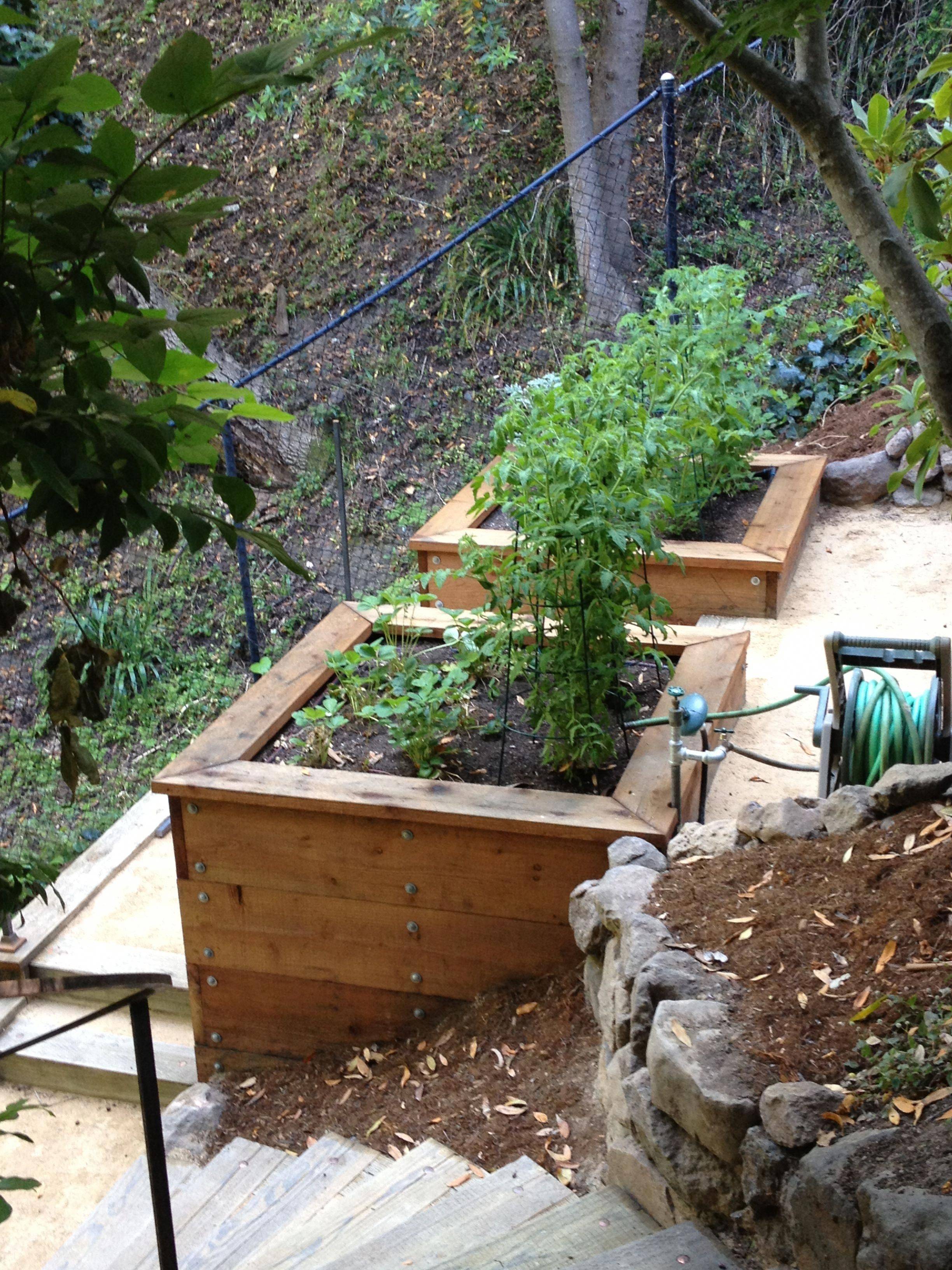 Terraced Cedar Raised Garden Bed