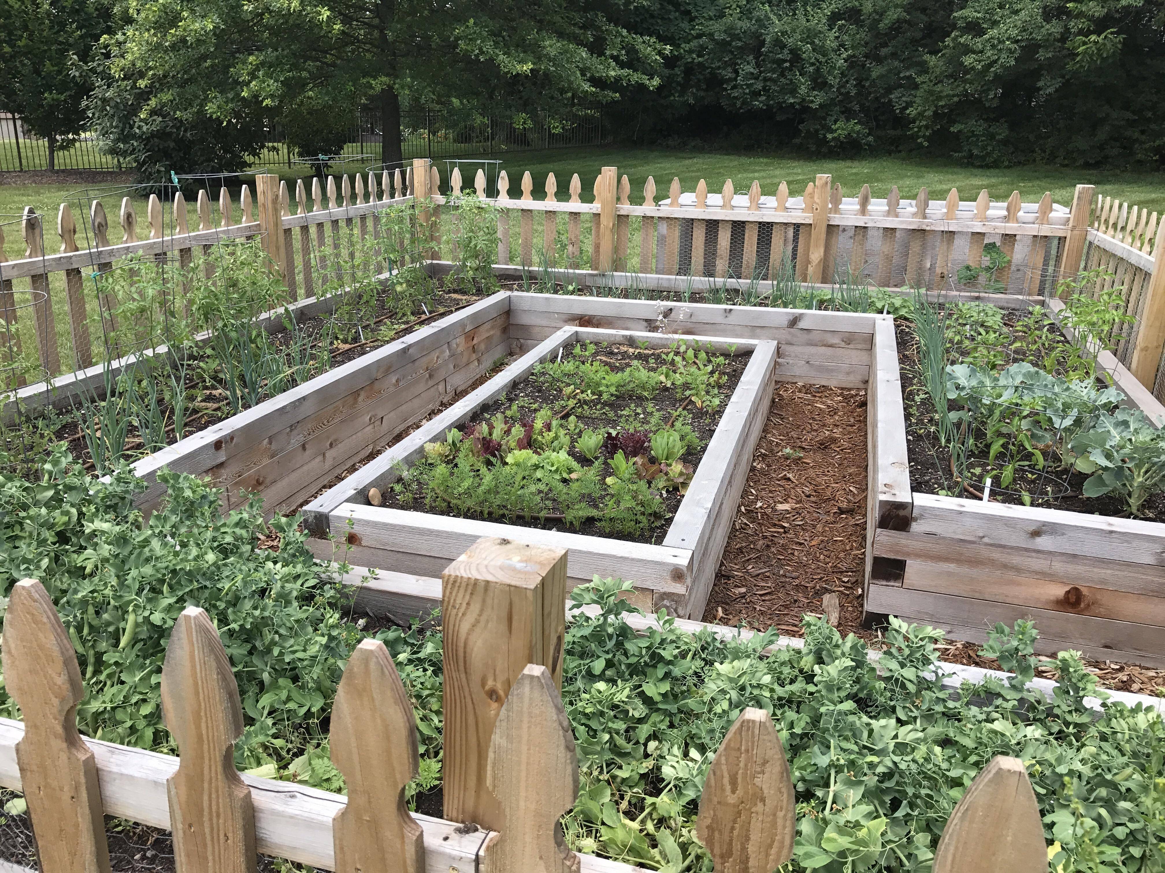 Terraced Garden Beds