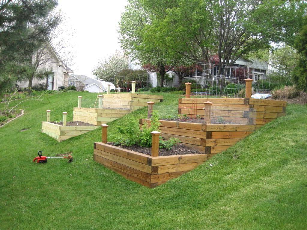 Favourite Vegetables Garden Ideas