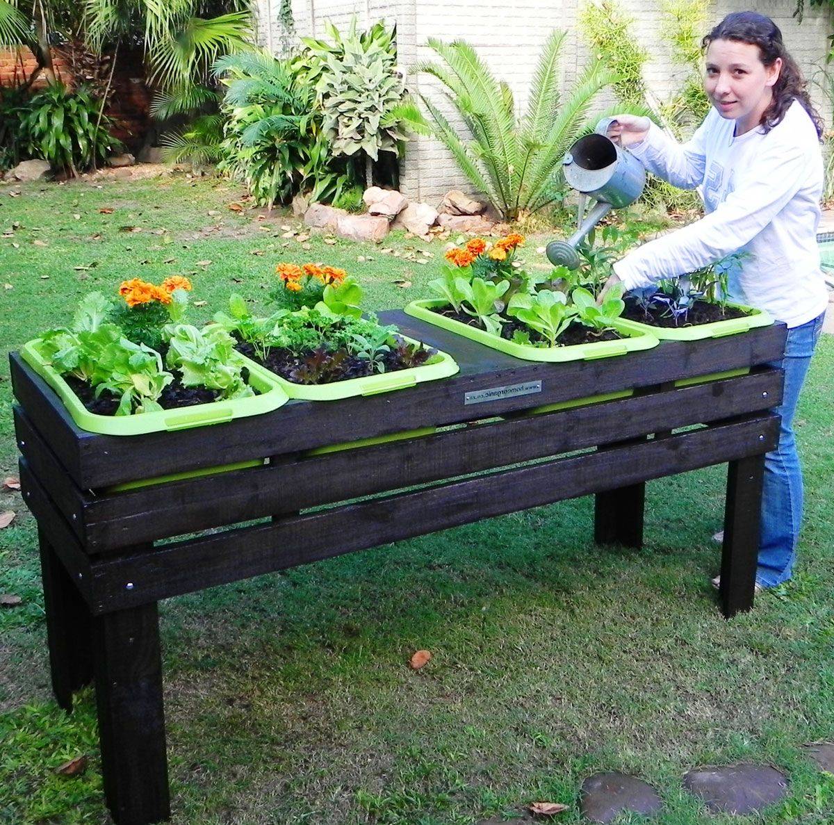 Tier Elevated Wooden Vegetable Garden Bed