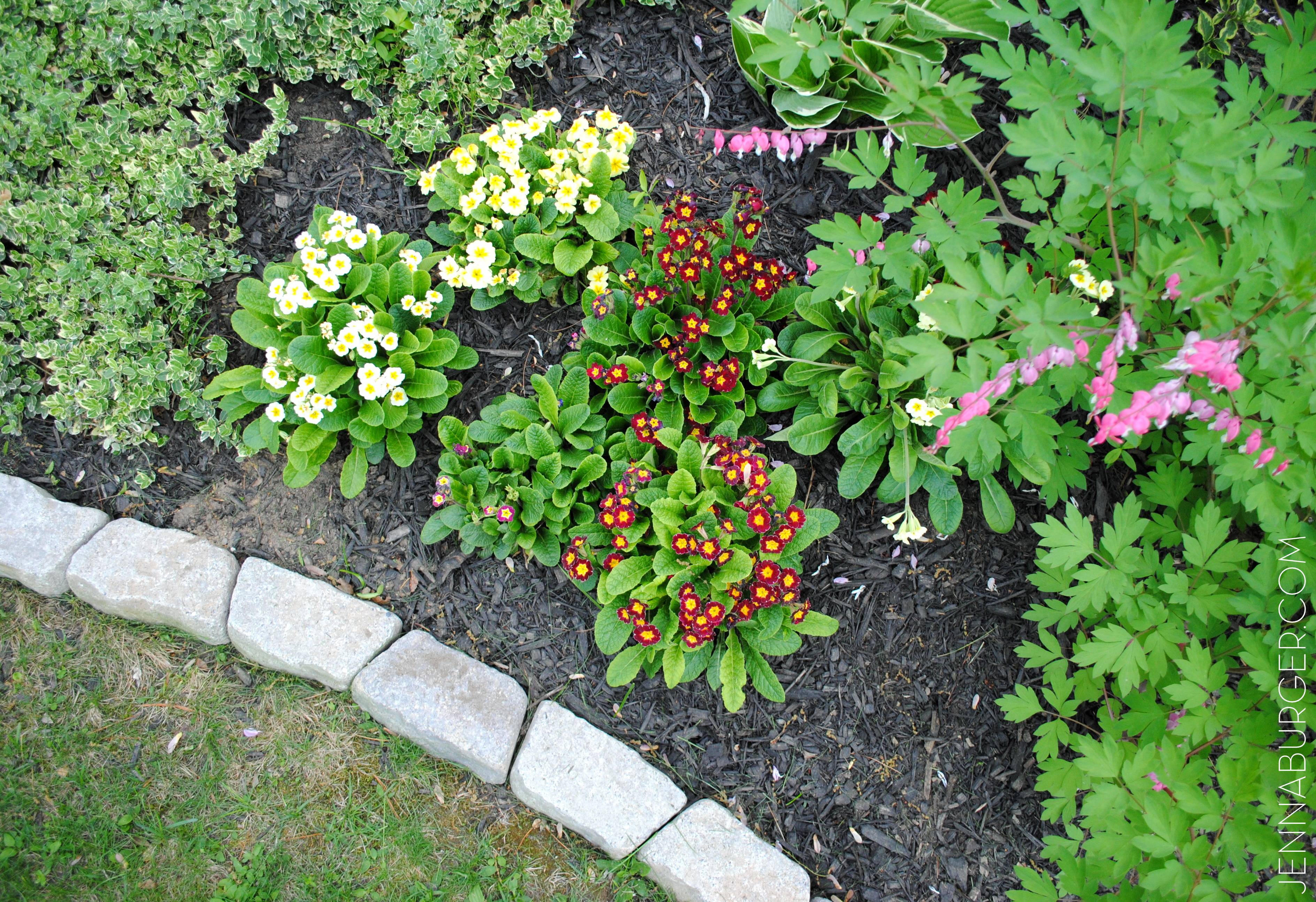 Landscape Edging Ideas