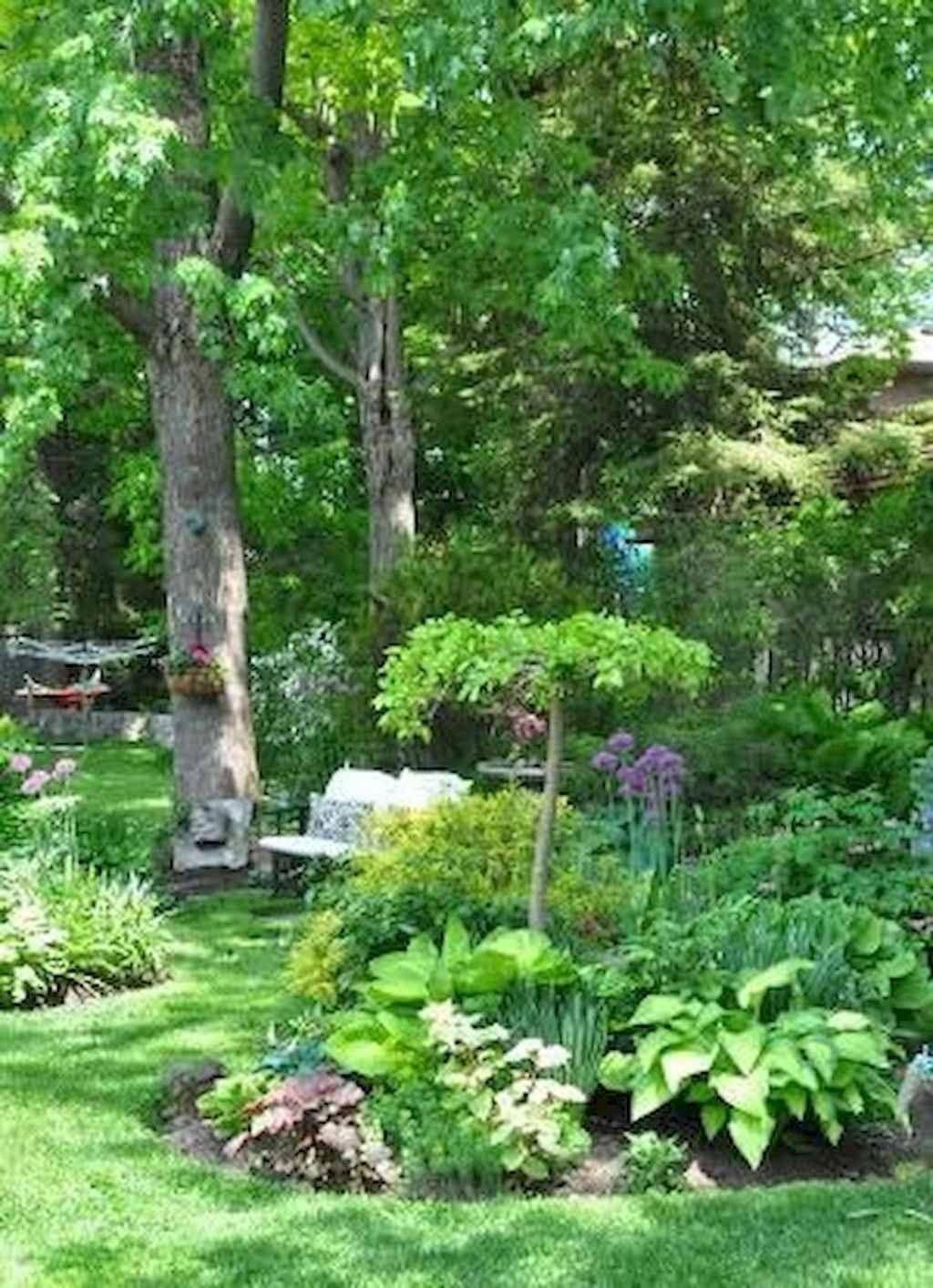 Fantastic Shade Garden Ideas