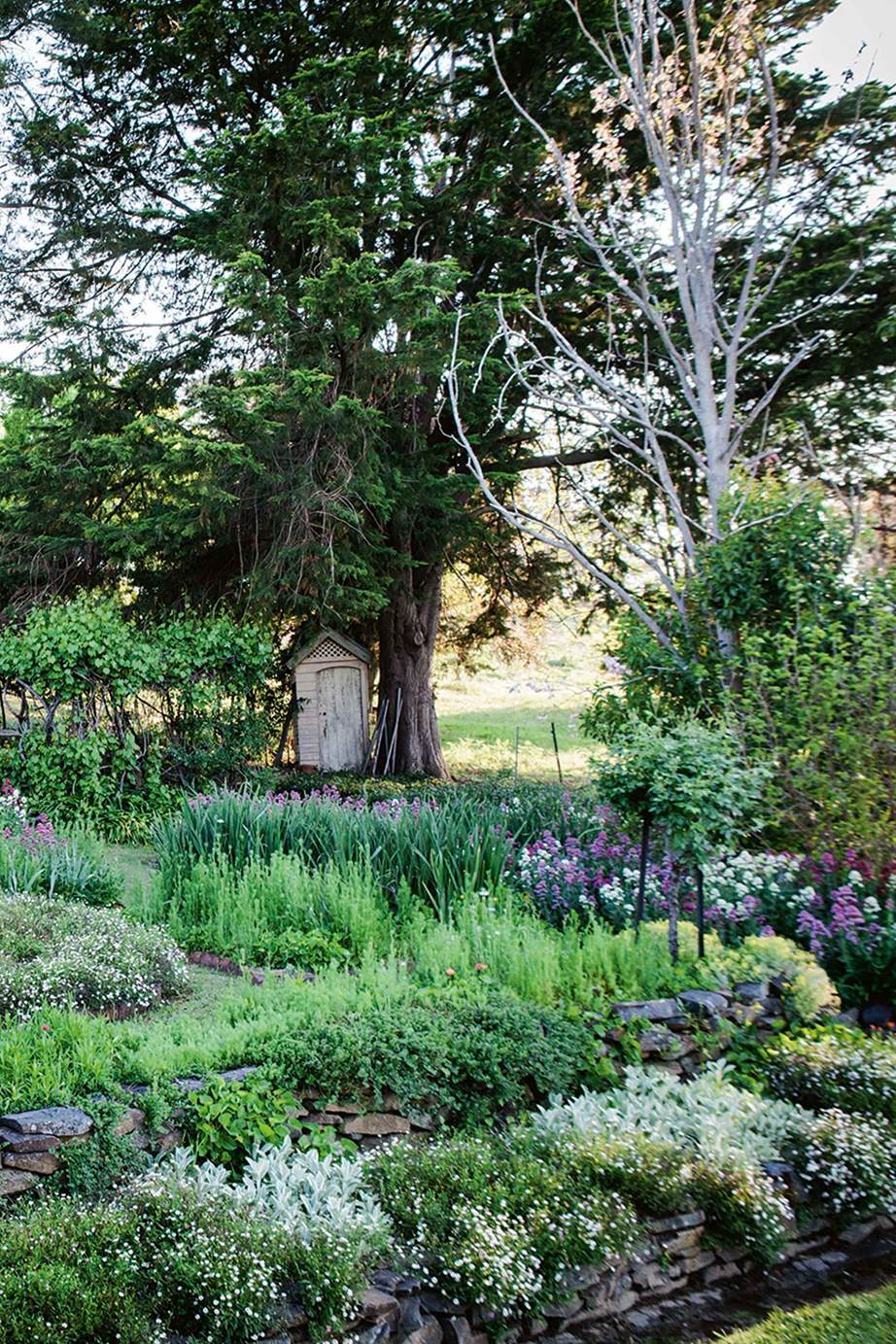 The Top Raised Garden Bed Ideas Landscaping Design