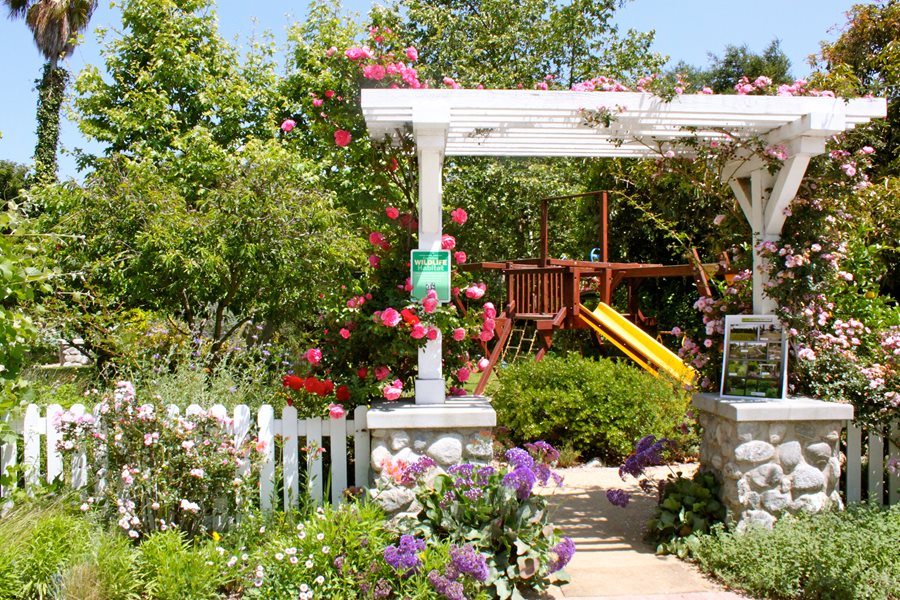 Best Arbor Designs And Ideas Images