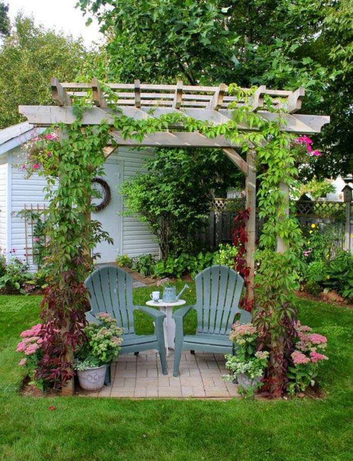 Urban Gardening Ideas Trellis Plants