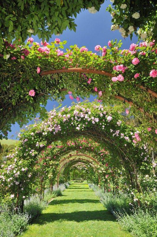 Rustic And Simple Arbor Ideas