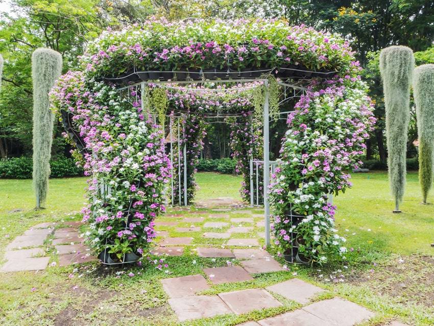 Ultimate Garden Trellis Wisteria Flower