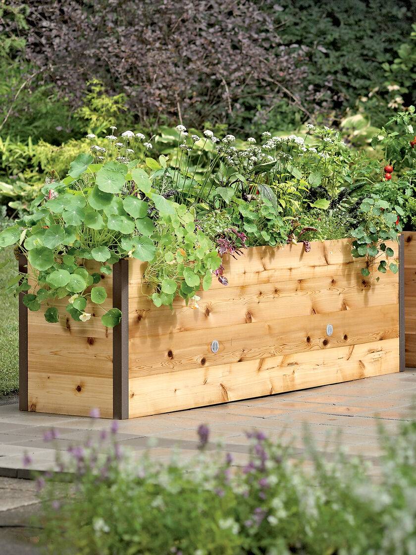 Tier Elevated Wooden Vegetable Garden Bed