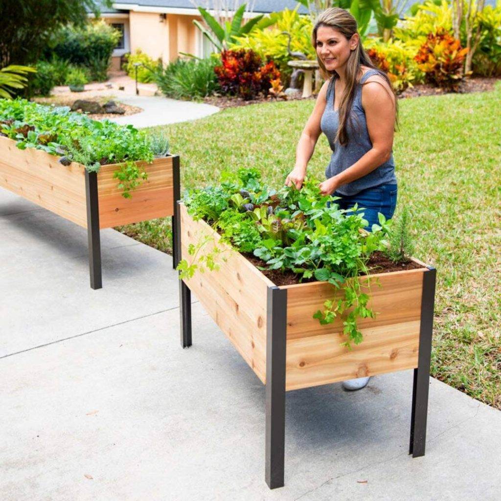 Simple Minimalist Diy Wooden Raised Planter Box