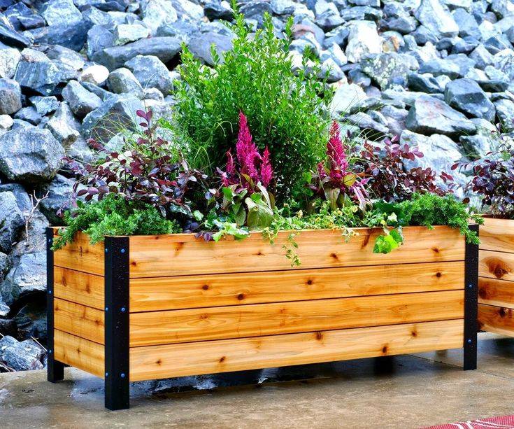 Patio Backyard Cedar Garden Planter Raised Bed Box Outdoor Wood Beds