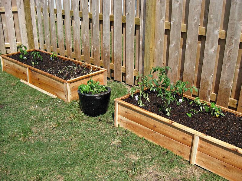 Ana White Cedar Raised Garden Beds Tiers Diy Projects