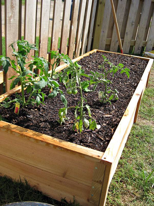 Ana White Diy Garden Box