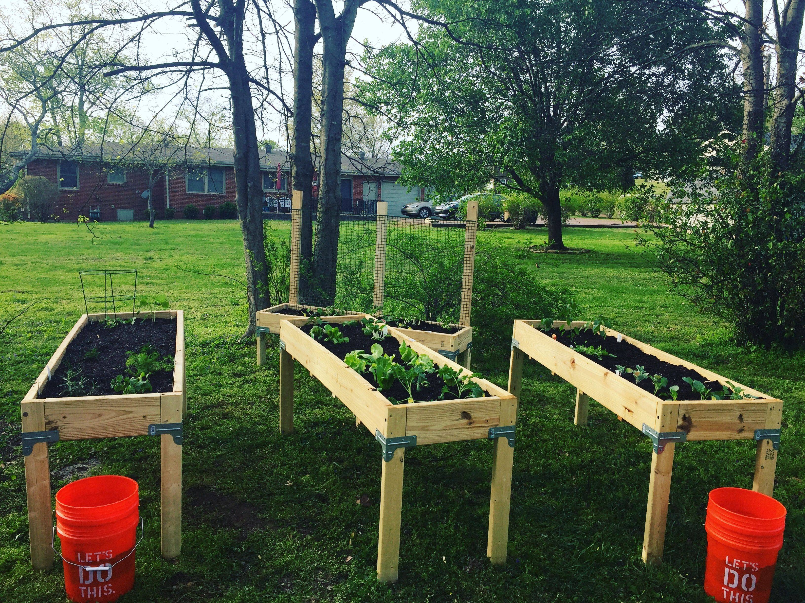 Simple Cedar Raised Garden Diy Projects