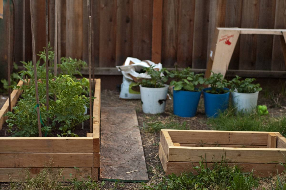 Cedar Garden Bed