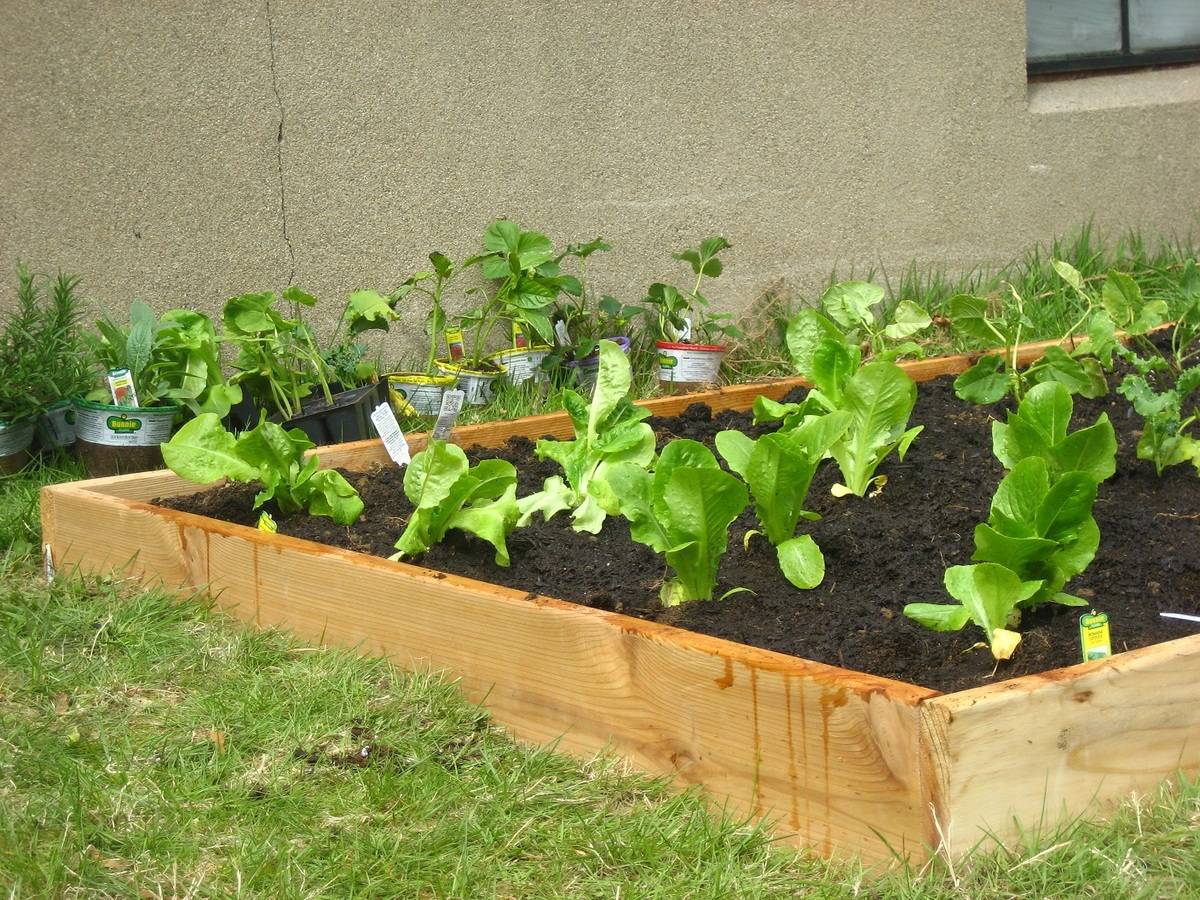 Raised Flower Planter