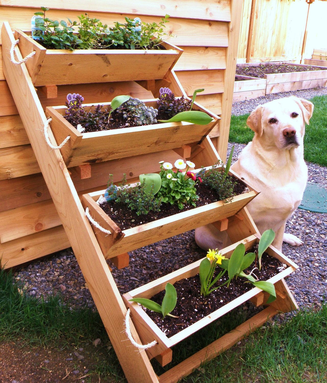 Diy Tiered Herb Garden