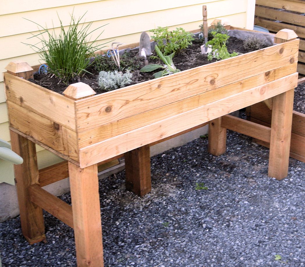 A Raised Planter Box