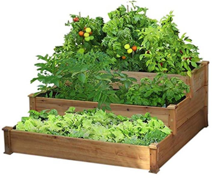 Natural Cedar Raised Garden Beds Eartheasycom