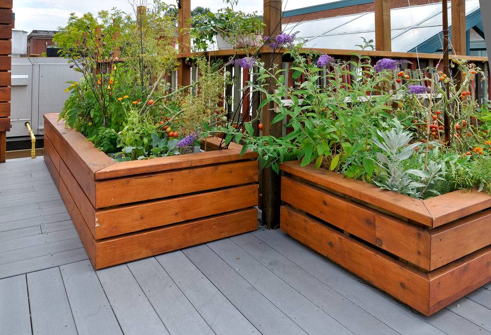 Superior Wooden Raised Beds Harrod Horticultural