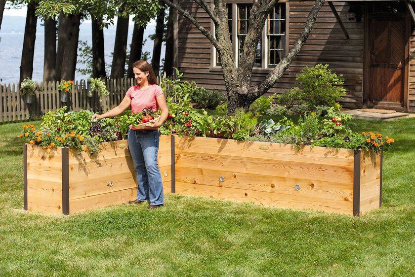 X Elevated Cedar Raised Bed