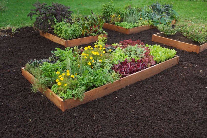Garden Beds