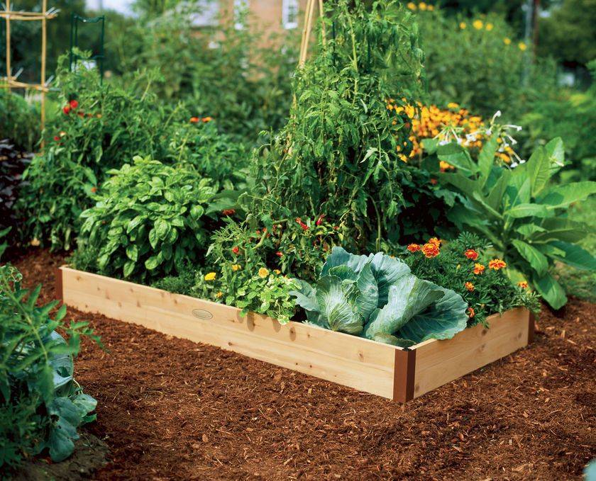 X Elevated Raised Bed Planter